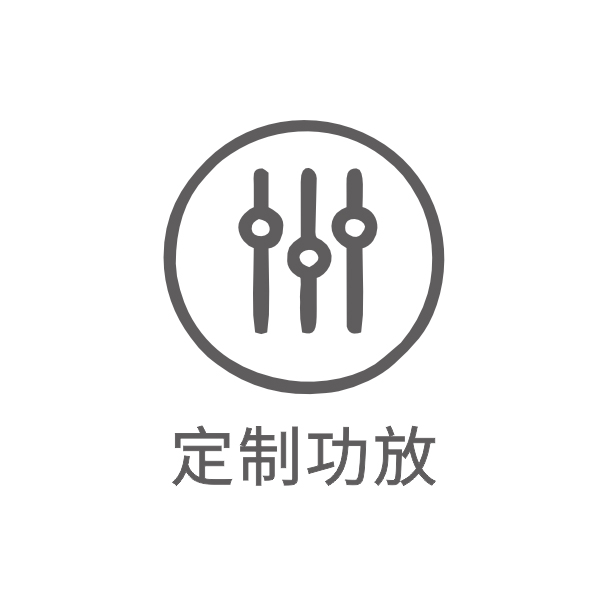 定制功放